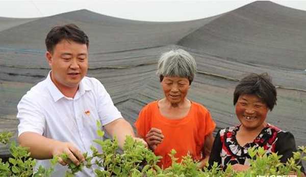 将科研成果撒播在沂蒙大地(图3) 将科研成果撒播在沂蒙大地(图3)