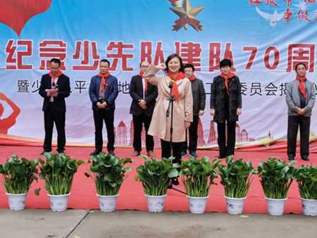 地方镇中心校少工委成立(图1) 地方镇中心校少工委成立(图1)
