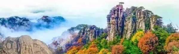 山楂红了(图4) 山楂红了(图4)