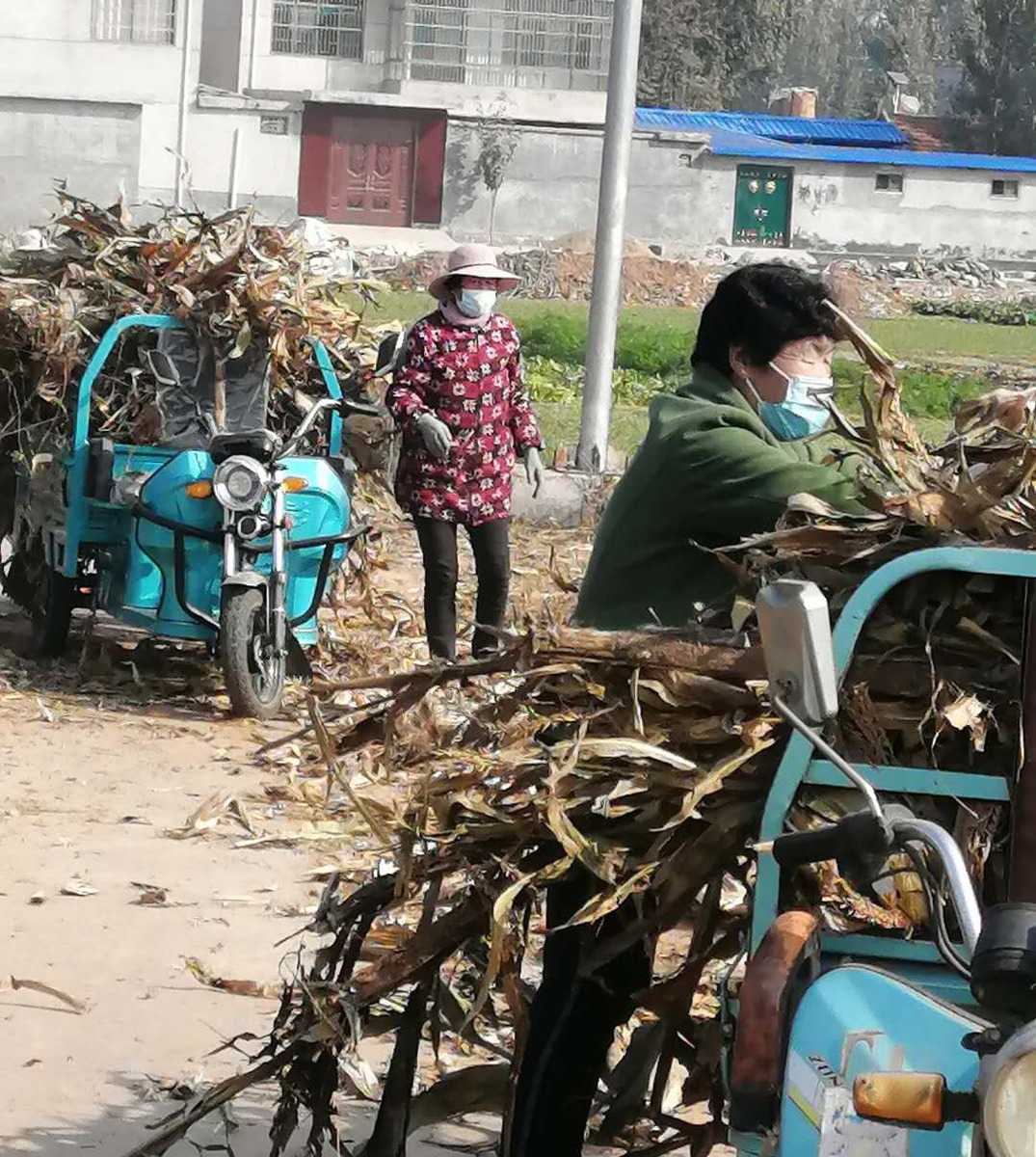 清理秸秆杂物 提升人居环境(图3) 平邑街道:清理秸秆杂物 提升人居环境