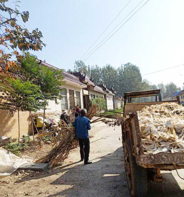 平邑街道:人居环境整治 我们一直在行动(图1) 平邑街道:人居环境整治 我们一直在行动