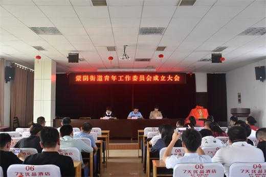 蒙阴团县委举行各乡镇街道青年工作委员会会议(图1)