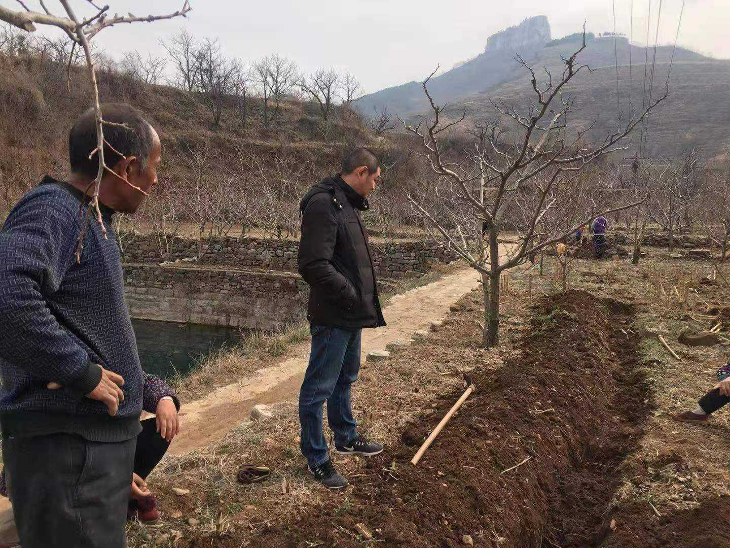 照亮群众幸福路 点亮乡村振兴梦(图1) 照亮群众幸福路 点亮乡村振兴梦(图1)