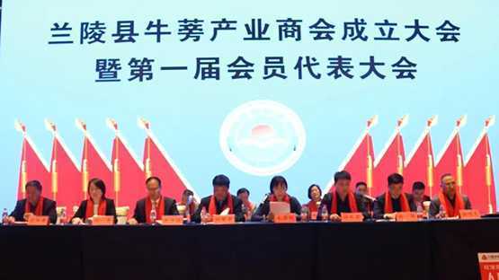 兰陵县牛蒡产业商会成立(图1)