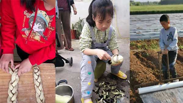 将劳动教育落到实处 助力学生全面发展(图2) 将劳动教育落到实处 助力学生全面发展(图2)
