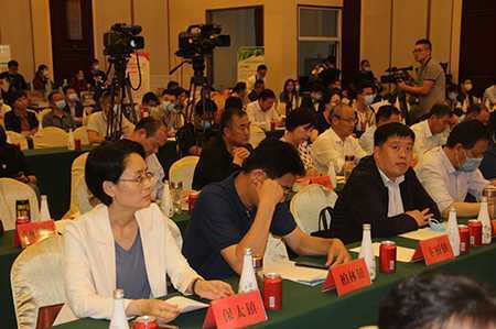 第12届中国金银花产业发展峰会在山东平邑举办(图17)