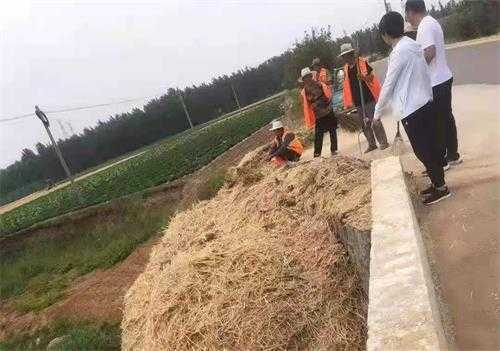 平邑街道集中清理河湖沟渠农业生产废弃物(图3) 平邑街道集中清理河湖沟渠农业生产废弃物(图3)