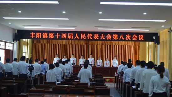 丰阳镇第十四届人民代表大会第八次会议胜利召开(图1)