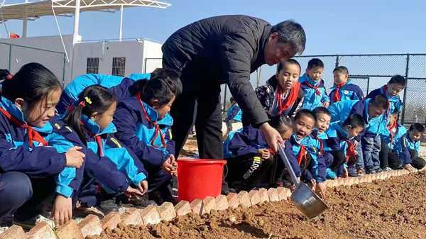 山东平邑：实验小学教育集团：校园里有一块学生“责任田”(图3)