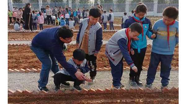 山东平邑：实验小学教育集团：校园里有一块学生“责任田”(图4)