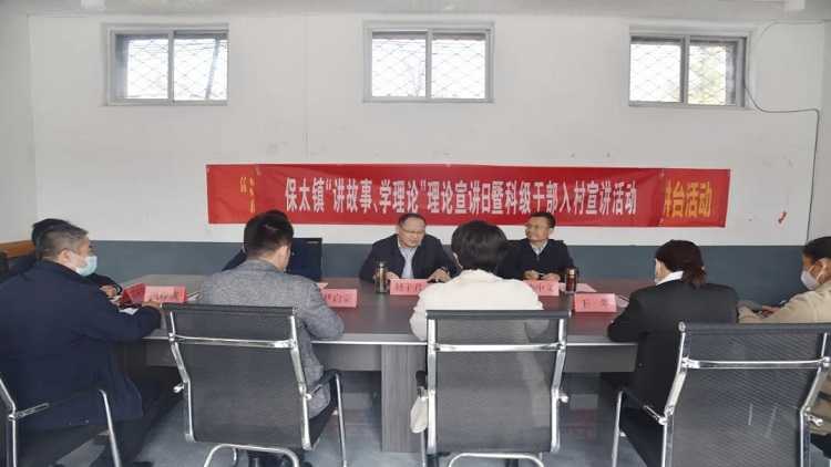 县委常委、组织部部长赵子君到保太镇调研后进村集中攻坚工作(图2)
