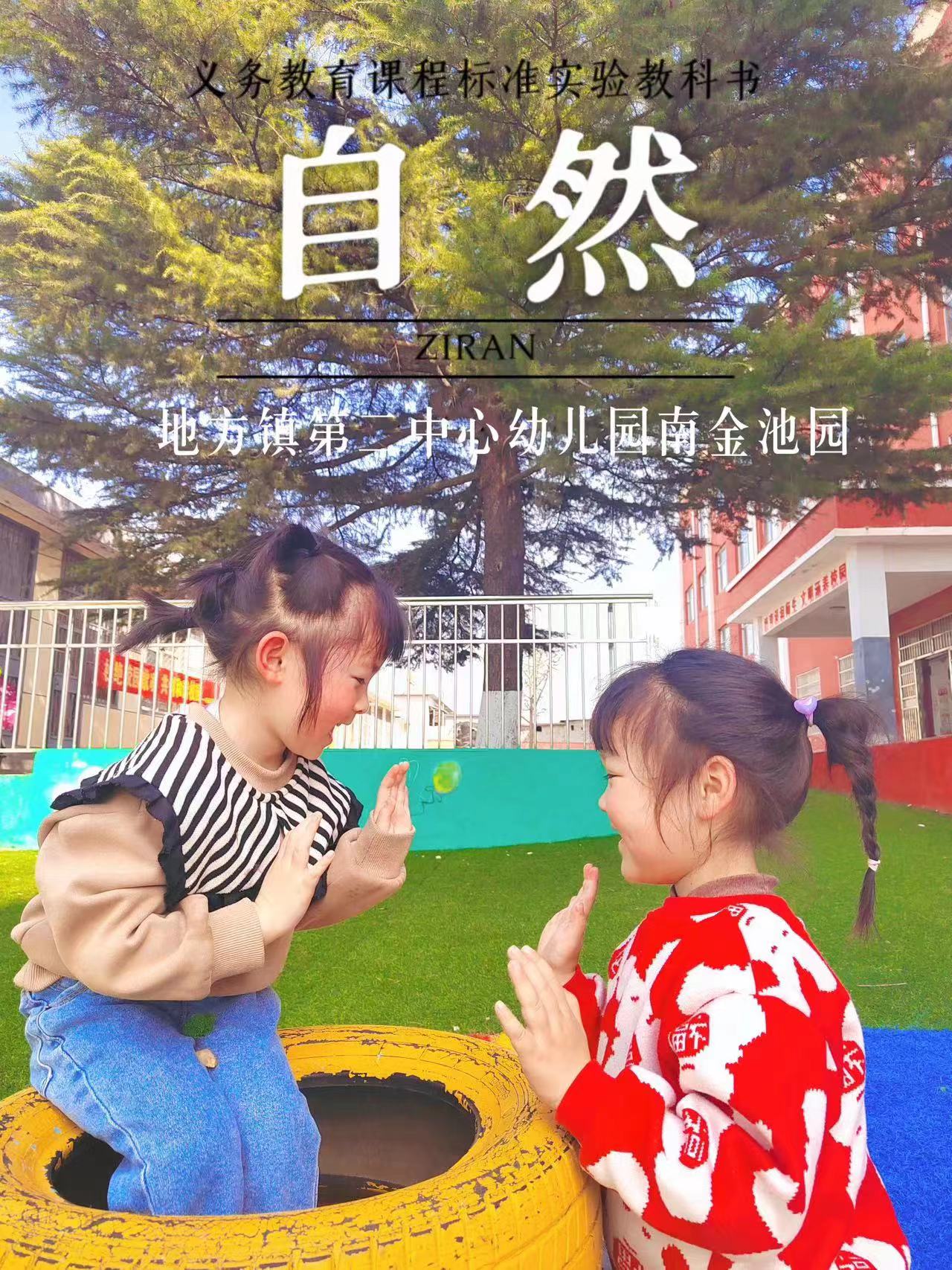 地方镇南金池完小幼儿园开展趣味课本封面活动