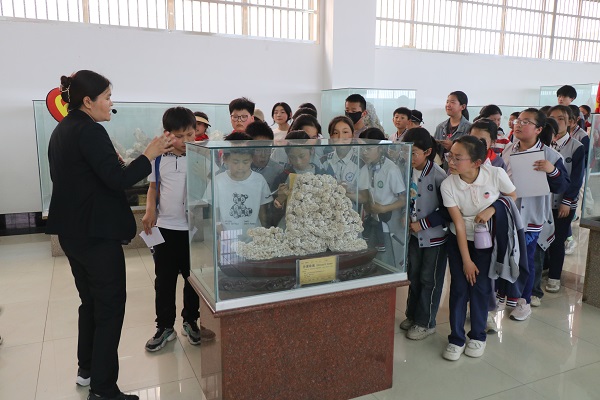 追寻远古生物之迹 领略地质变迁之韵—平邑兴蒙学校走进天宇自然博物馆开展研学活动(图2)
