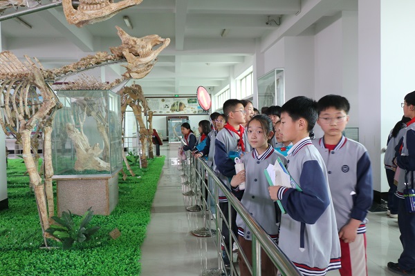 追寻远古生物之迹 领略地质变迁之韵—平邑兴蒙学校走进天宇自然博物馆开展研学活动(图3)