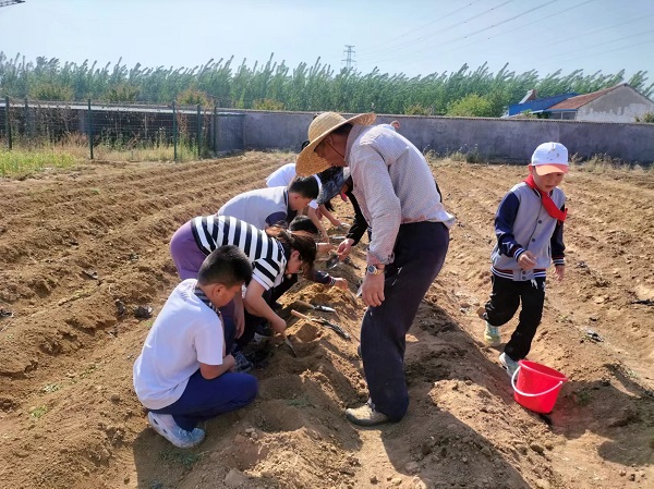 绿野春耕，童心种梦—平邑兴蒙学校走进基地开展劳动实践活动(图2)