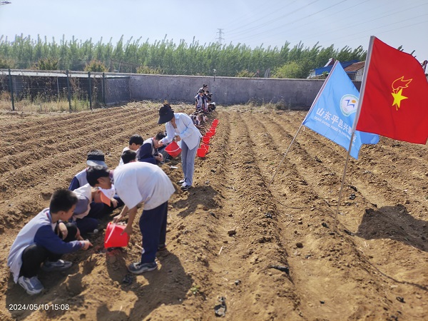 绿野春耕，童心种梦—平邑兴蒙学校走进基地开展劳动实践活动(图3)