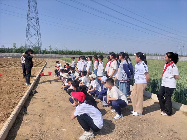 绿野春耕，童心种梦—平邑兴蒙学校走进基地开展劳动实践活动(图4)