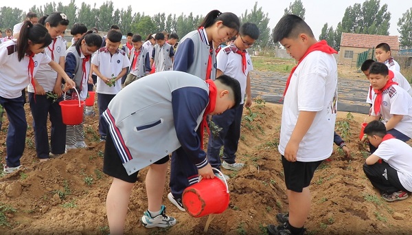 绿麦渐黄，地瓜埋香—平邑兴蒙学校走进基地开展种地瓜劳动实践体验活动(图3)