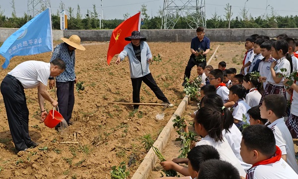 绿麦渐黄，地瓜埋香—平邑兴蒙学校走进基地开展种地瓜劳动实践体验活动