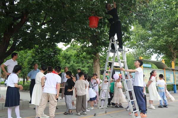 快乐采摘 “杏”福收获 —平邑兴蒙学校开展体验式杏子采摘活动(图2)