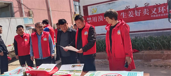 平邑街道组织开展生姜种植技术宣传活动