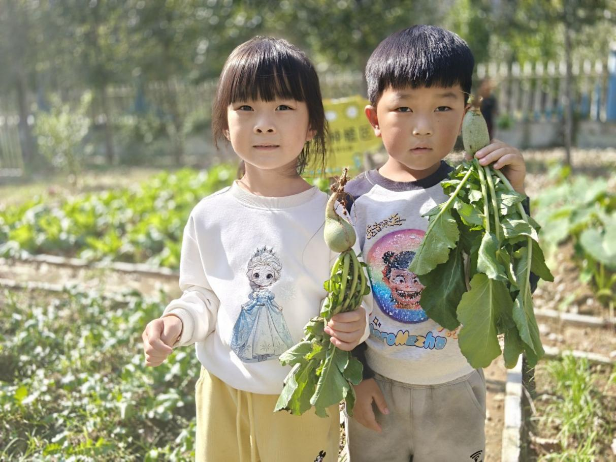平邑县丰阳镇中心幼儿园开展世界粮食日主题活动(图2)