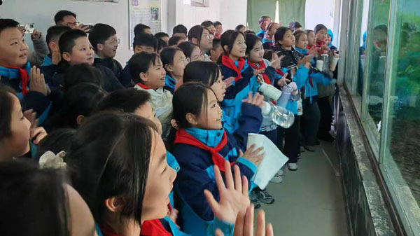 【山东平邑】实验小学文化路校区：走出课堂 触摸真实​(图1)