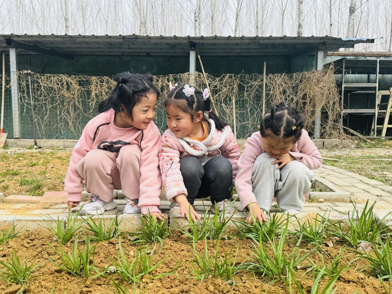 平邑县丰阳镇中心幼儿园开展春日主题系列活动(图3)