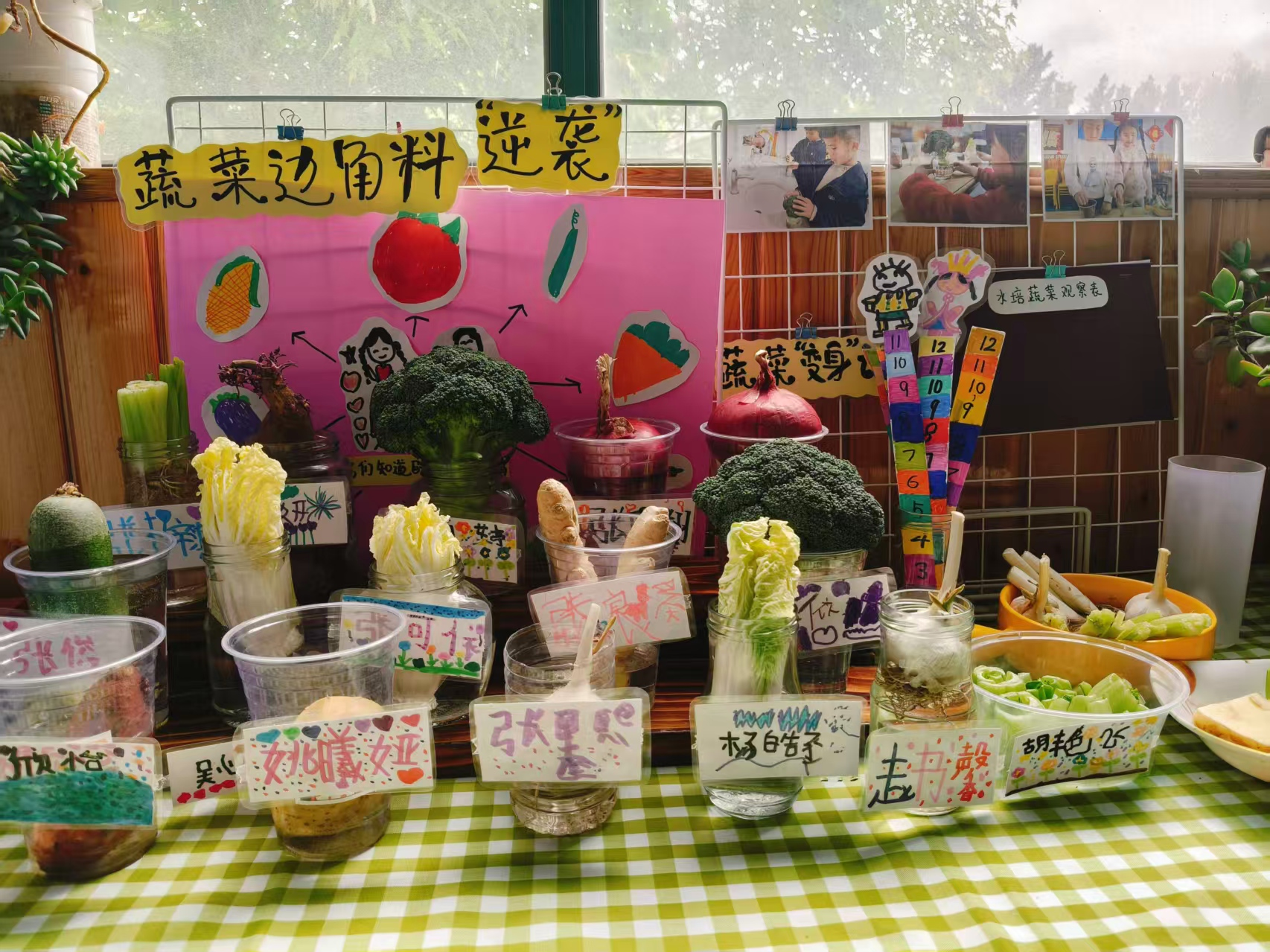 平邑县丰阳镇中心幼儿园开展水培蔬菜主题活动(图3)
