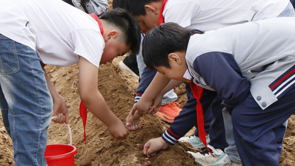 【劳动实践】平邑县实验小学开展“实践出真知”种花生实践活动(图3)