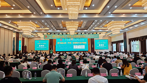 第16届山东（平邑）金银花大会成功举办