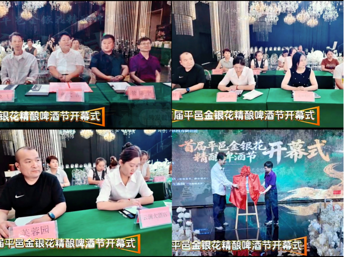 首届山东平邑金银花精酿啤酒节璀璨开幕(图2)