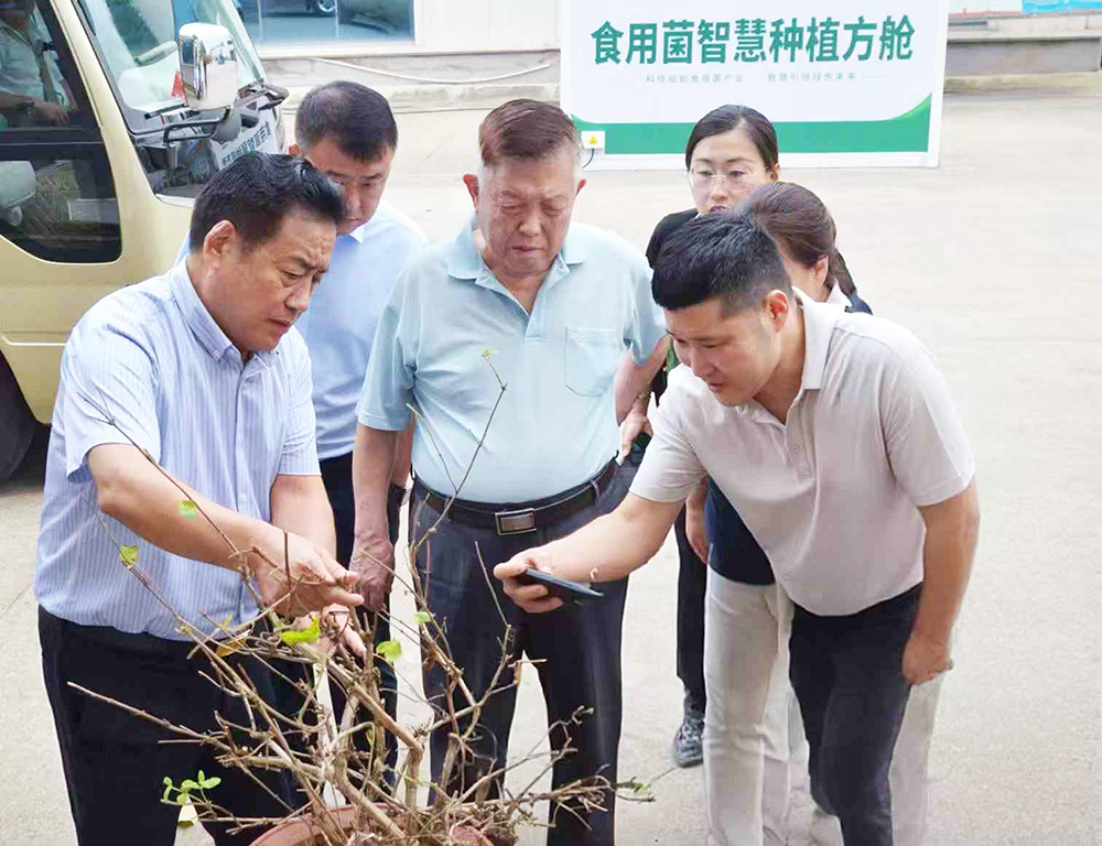 院士走进沂蒙 助力乡村振兴(图2)