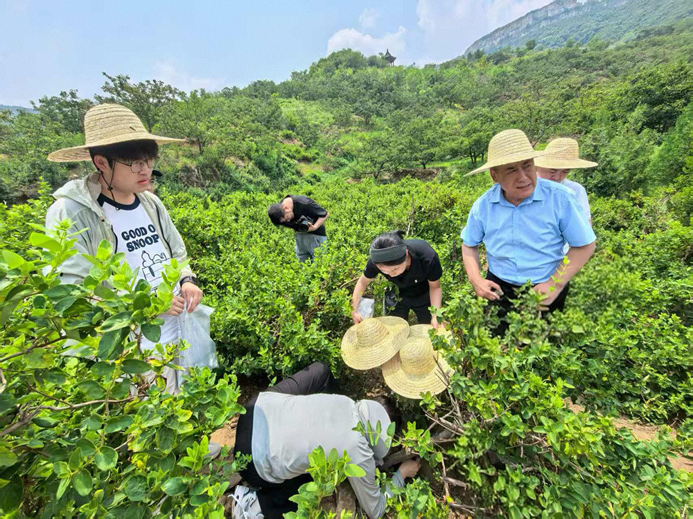 山东名牌丨 院士赋能老区经济 助力企业科技创新