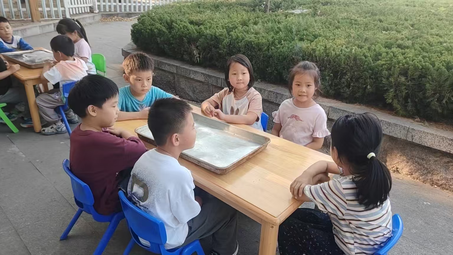 传承中秋古韵 劳动点亮童心——平邑兴蒙学校一年级中秋劳动实践活动纪实