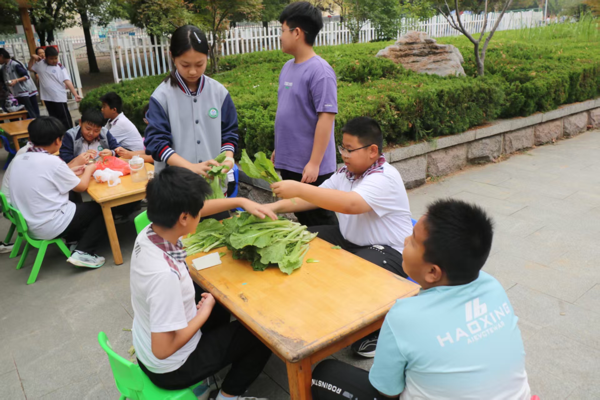 烟火润童心 厨艺促成长——平邑兴蒙学校六年级开展厨艺实践活动