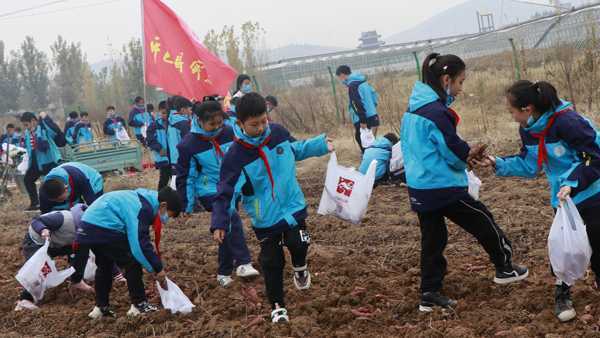 平邑县实验小学的孩子走进户外研学拓展地(图2)