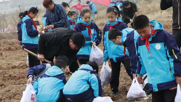 平邑县实验小学的孩子走进户外研学拓展地(图3)