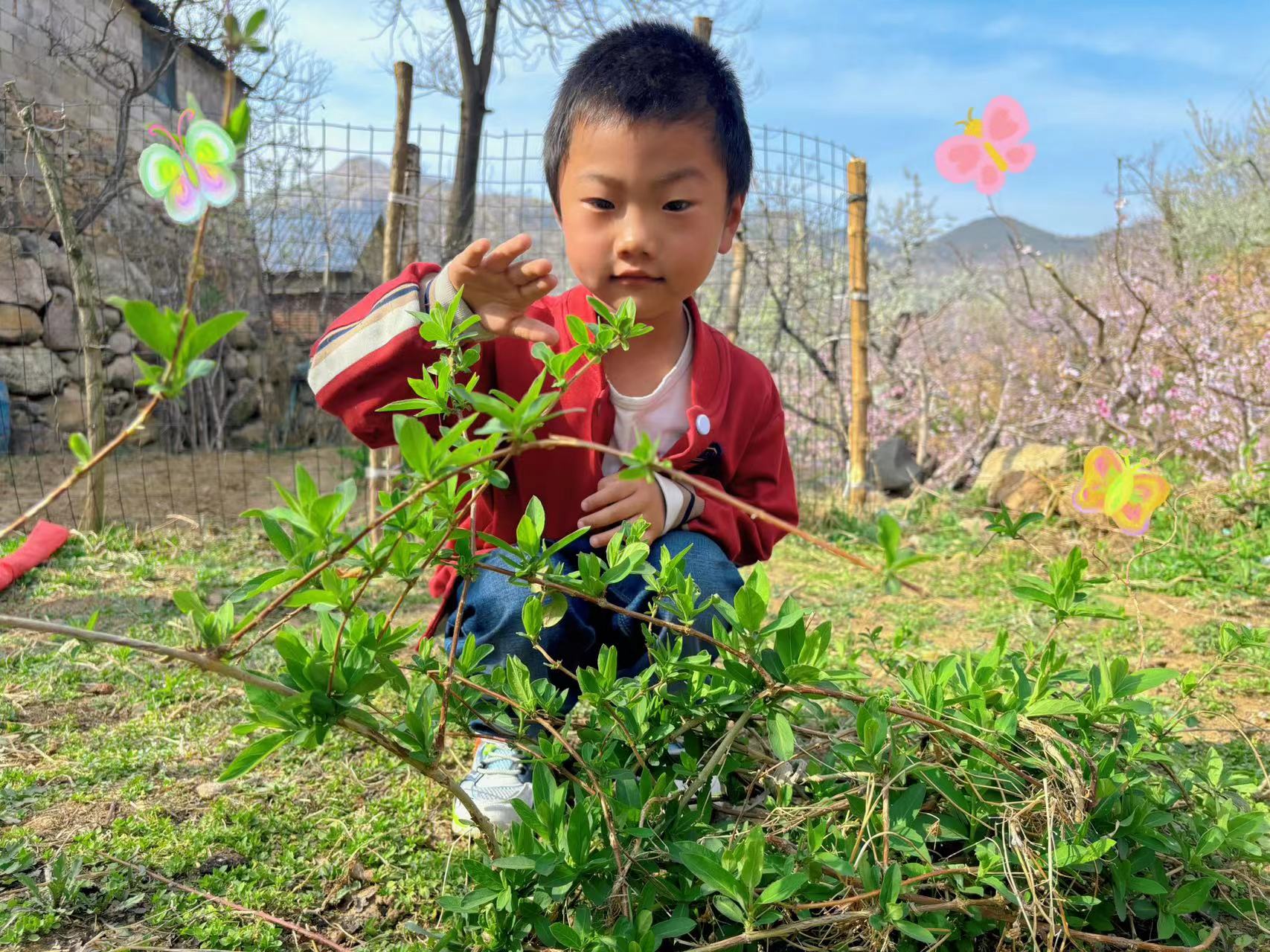 地方镇闸口完小幼儿园开展清明节主题活动