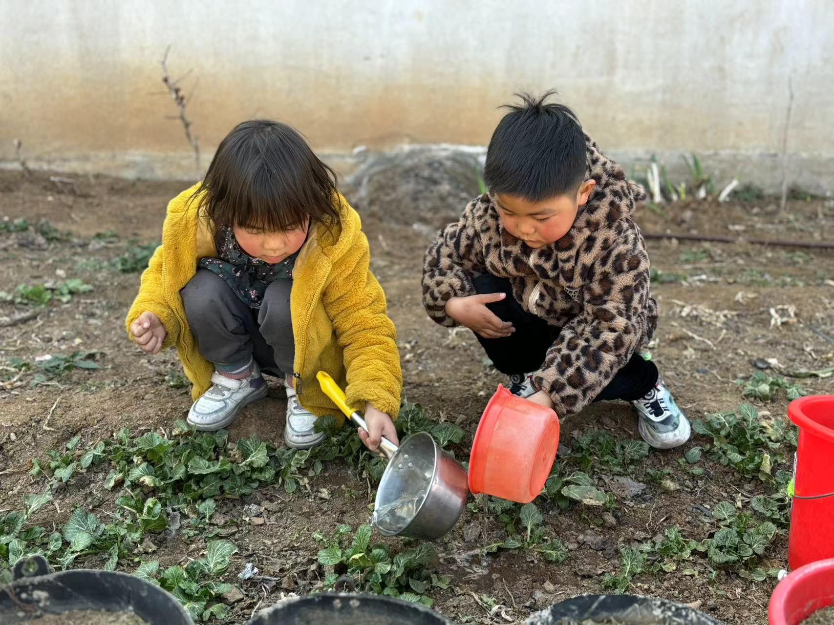 地方镇闸口完小幼儿园开展植树节主题活动