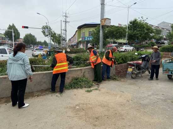 丰阳镇：聚力常态整治 打造整洁路域环境(图2)