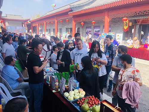   临沂市临沭县第八届中国柳交会•农民丰收节庆祝活动暨红色朱村文旅节持续至10月7日(图1)