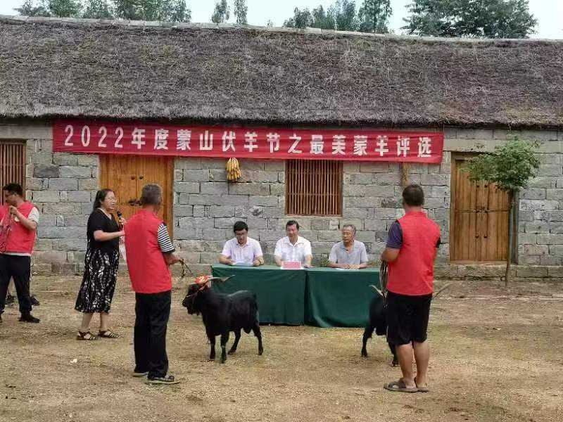 走进蒙山圣地  探秘蒙山文化——平邑县第四实验小学学子参加央视科教频道《跟着书本去旅行》拍摄活动(图3)