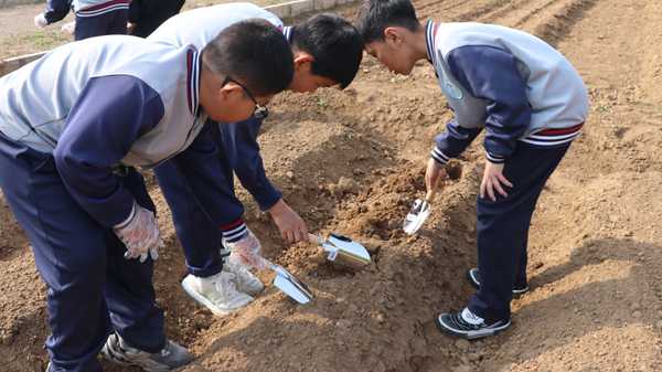 山东平邑：实验小学教育集团主校区开展实践课堂进田园体验(图1)