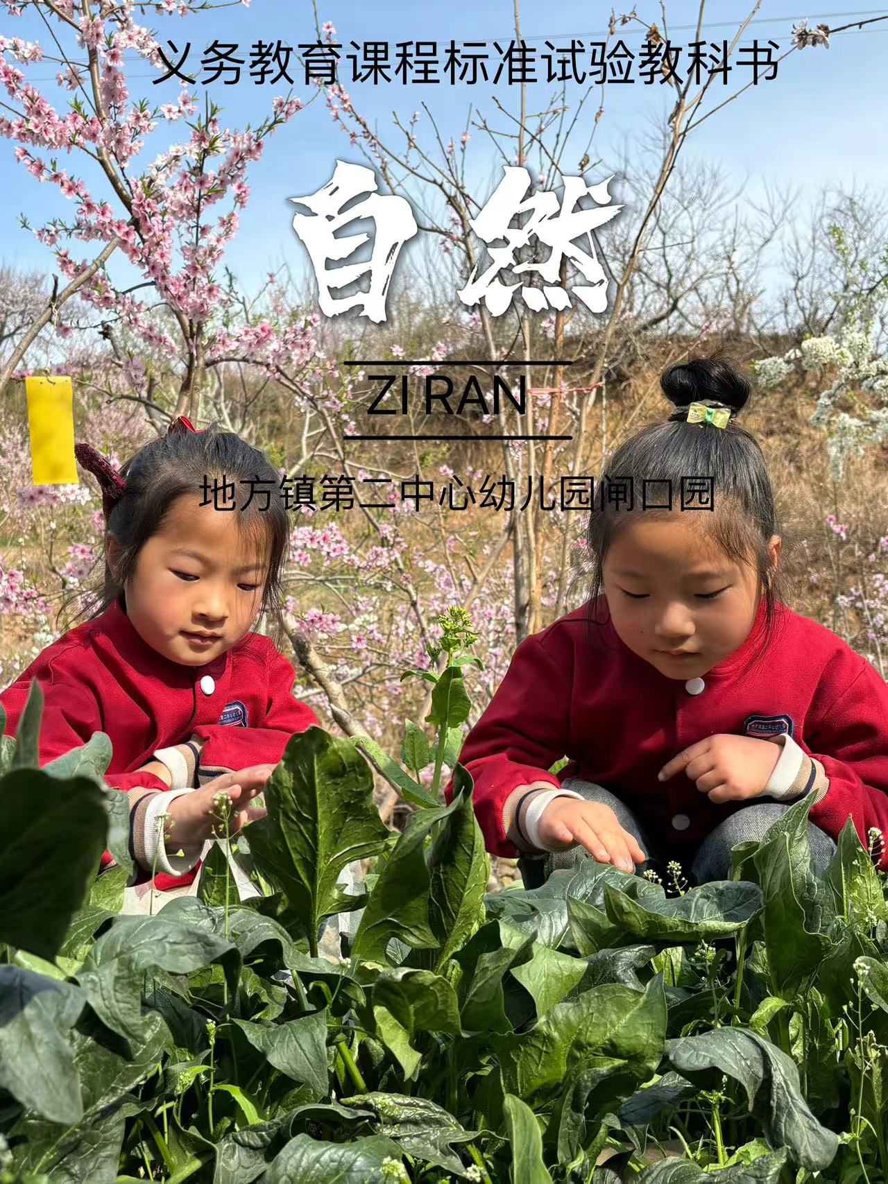 地方镇闸口完小幼儿园寻找春天课本封面(图1)