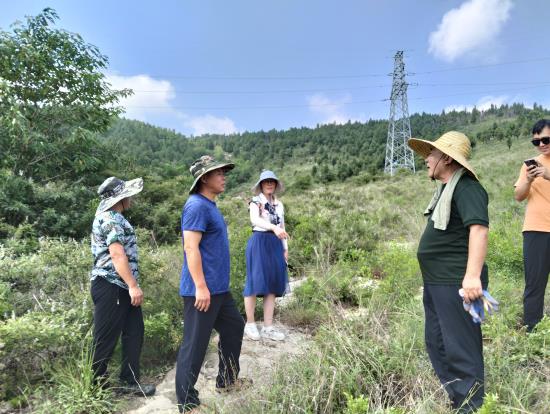 临沂市林业局到平邑街道调研雨季造林工作