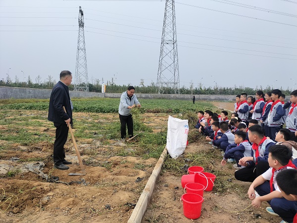 劳动励心志 实践促成长—兴蒙学校赴基地开展收花生劳动实践活动