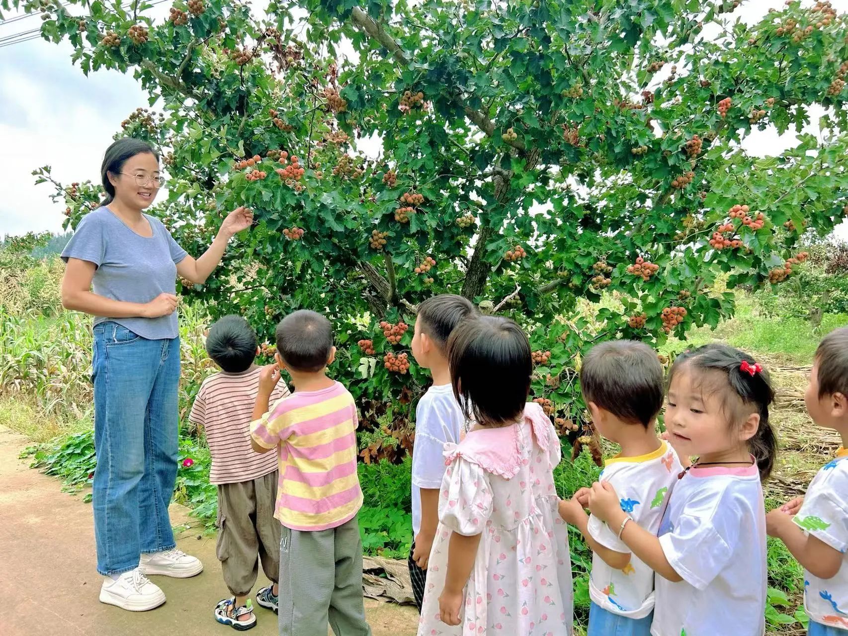 地方镇南金池完小幼儿园秋分节气活动(图2)