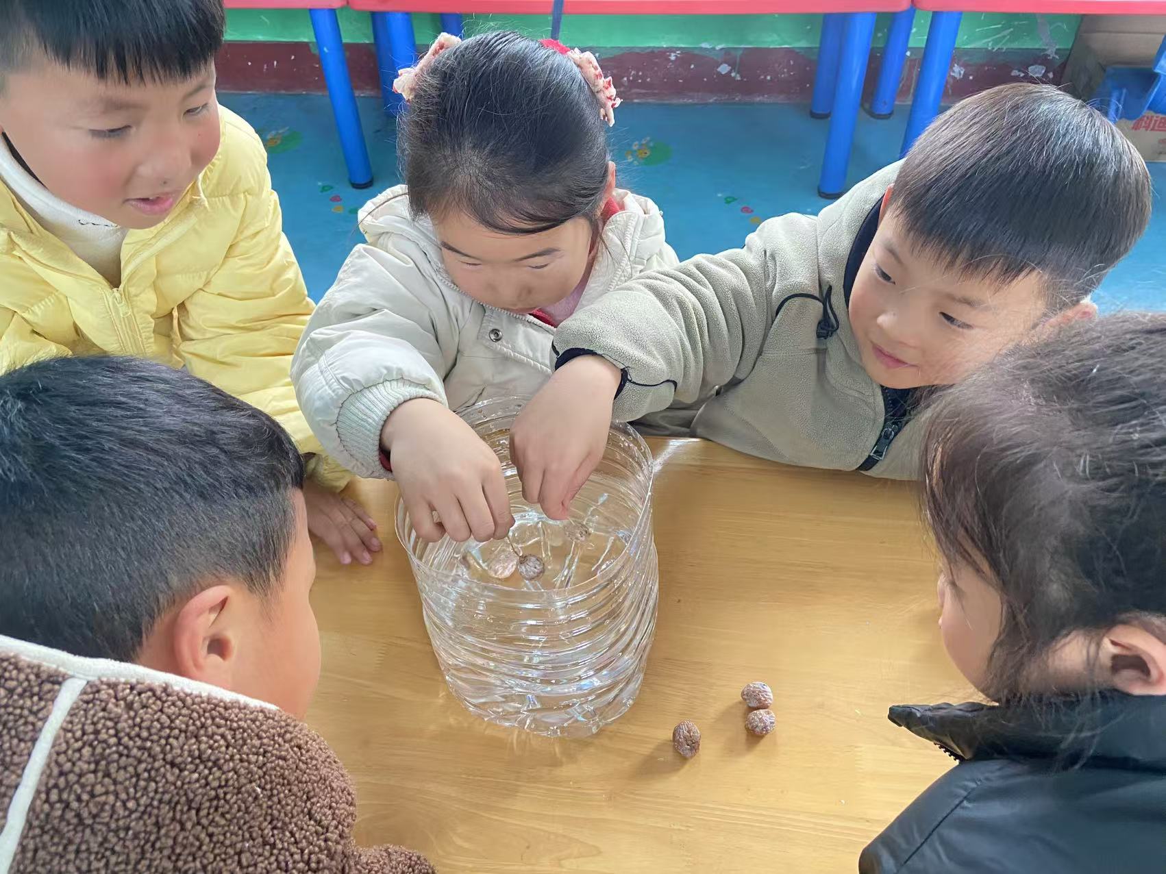 地方镇王崮山完小幼儿园开展银杏果科学探索活动(图1)